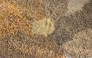 Breakfast Foods Drucke: Assorted cereal grains C014 / 1504
