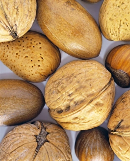 Assorted Nuts Drucke: Assorted nuts