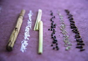 Cinnamon Spice Drucke: Assorted spices