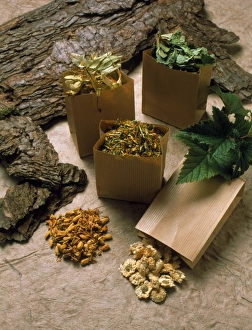 Complementary Therapy Drucke: Assortment of herbal teas