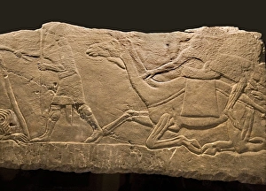 Assyrian Relief Drucke: Assyrian Relief