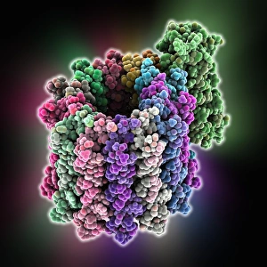 Molecular Biology Images Drucke: ATP synthase molecule