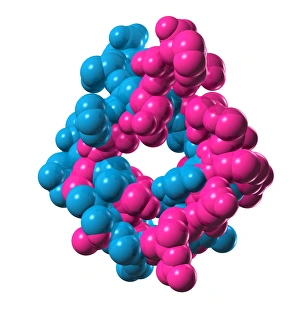 Blood Pressure Regulation Drucke: Atrial natriuretic peptide molecule
