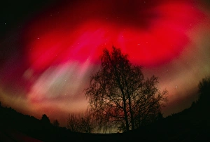 Aurora Borealis Photography Drucke: Aurora borealis