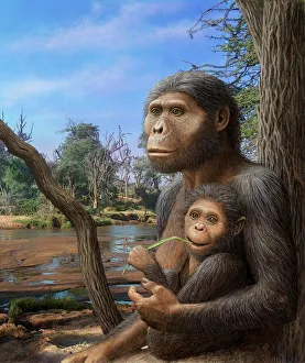 Australopithecus afarensis Kunstwerk