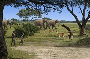 Landschaft des Australopithecus afarensis
