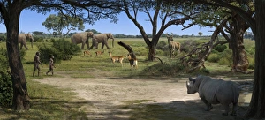 Die Landschaft des Australopithecus aferensis