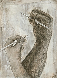 Bilder Datiert 3. November 2011: Australopithecus und Affenhande