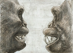 Bilder Datiert 3. November 2011: Australopithecus und Affen Zahne