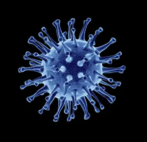 Vogelflu Virus