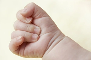 Child Model Photography Drucke: Babys hand