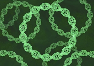 Deoxyribonucleic Acid (DNA) Drucke: Bacterial DNA, artwork