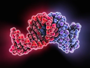 Bilder Datiert 8. Februar 2013: Bakterieller RNAsäure Plasmid-Loop-Loop-Komplex