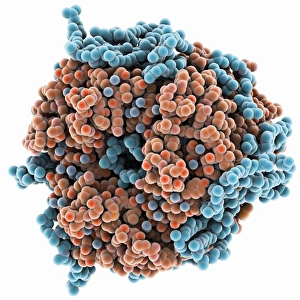 Bilder Datiert 19. November 2012: Bakterioidrhopsin-Protein