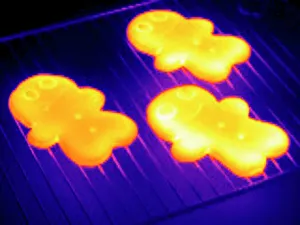 Bilder Datiert 26. März 2004: Gebackener Pfefferkuchen, Thermograph
