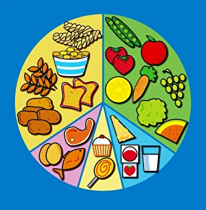 Ausgewogenes Ernährungsgewohnheit
