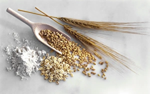 Agricultural Products Photography Drucke: Barley C014 / 1129