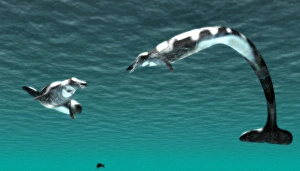 Drucke von Basilosaurussen sind Computerkunstwerke. Basilosaurus war ein früher Walfisch, der die Meere während des späten Eozänperioden von 45-36 Millionen Jahren bewohnte und andere marine Säugetiere jagte Bilder Datiert 2006 September: Basilosauruses