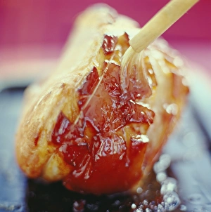 BBQ Recipes Drucke: Basting meat