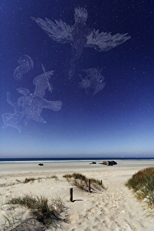 Bilder Datiert 20. April 2010: Strand unter voller Mond