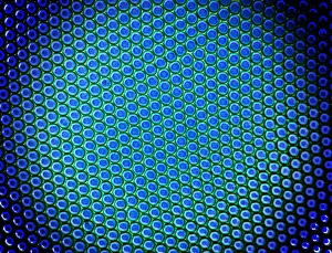 Polarised Light Micrograph Drucke: Beetle compound eye, light micrograph