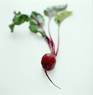 Beetroot Nutrition Drucke: Beetroot