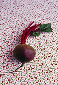 Beetroot Nutrition Drucke: Beetroot (Beta vulgaris)