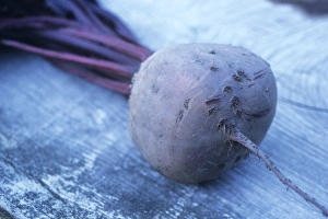 Farm To Table Produce Drucke: Beetroot (Beta vulgaris Boltardy )