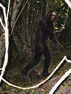 Drucke von Bigfoot ist ein mythologischer Primat, der angeblich im tiefen Waldgebiet Nordamerikas und Kanadas lebt Bilder Datiert 2004 November: Bigfoot