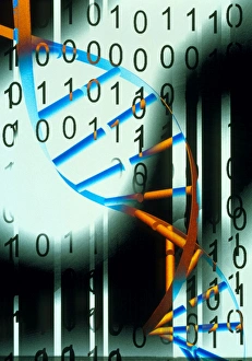 Genetic Code Drucke: Biological computing