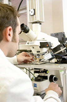 Microscope Examination Drucke: Biologist using a microscope