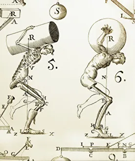 Menschlicher Körper Drucke: Biomechanik, historisches Kunstwerk