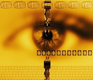 Biometrische Identifizierung