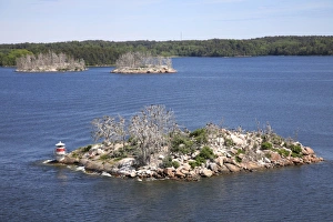Seabirds Of Scandinavia Drucke: Birds nesting on a skerry