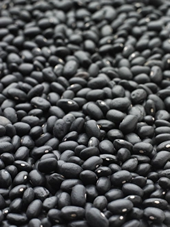 Legume Images Drucke: Black turtle beans