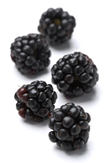 Blackberry Fruit Drucke: Blackberries