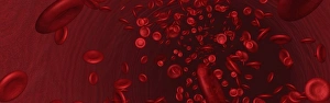 Red Blood Cells Drucke: Blood, computer artwork