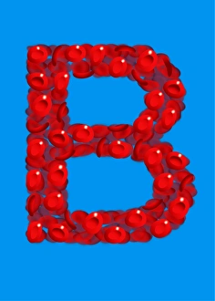Red Blood Cells Drucke: Blood group B