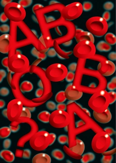 Red Blood Cells Drucke: Blood groups