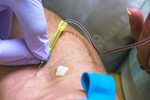 Blood Sampling Procedure Drucke: Blood sampling C015 / 3465