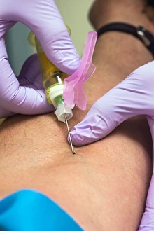Blood Sampling Procedure Drucke: Blood sampling C015 / 3466