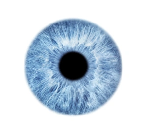 Blauer Auge