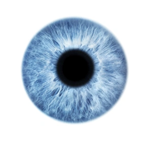 Blauer Auge