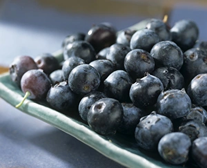 Bilder vom 12. August 2009: Blueberries