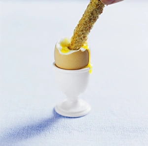 Toasted Bread Drucke: Boiled egg