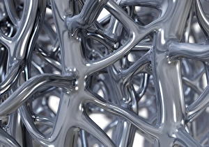 Cancellous Bone Structure Drucke: Bone trabeculae