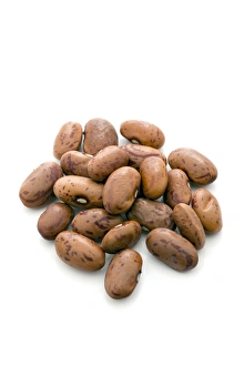 Italian Cuisine Ingredients Drucke: Borlotti beans