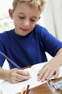 Young Artist At Work Drucke: Boy drawing in an exercise book