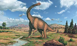 Brachiosaurier Dinosaurus
