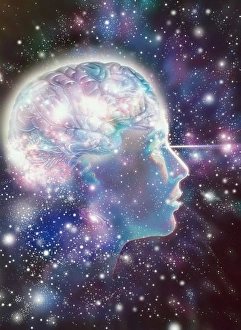 Anatomy Of The Human Head Drucke: Brain